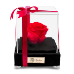 کادو ولنتاین ، گل رز هلندی جاودان ، باکس هدیه ، فروش آنلاین گل رز ماندگار